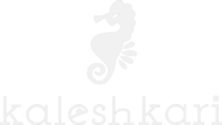 Kaleshkari The Clothing Store
